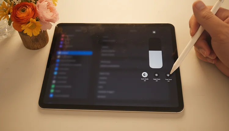 Screen settings that are good to adjust on the iPad 아이패드 트루톤 설정