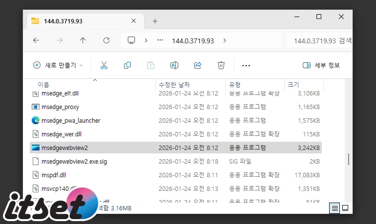 msedgewebview2 exe installation path msedgewebview2.exe 설치 경로